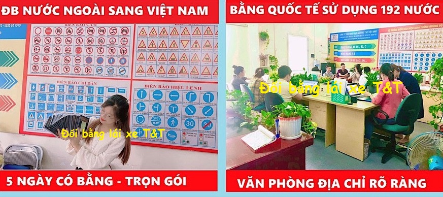 Bằng lái xe nước ngoài có được sử dụng ở Việt Nam không?